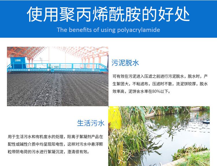 阴离子聚丙烯酰胺